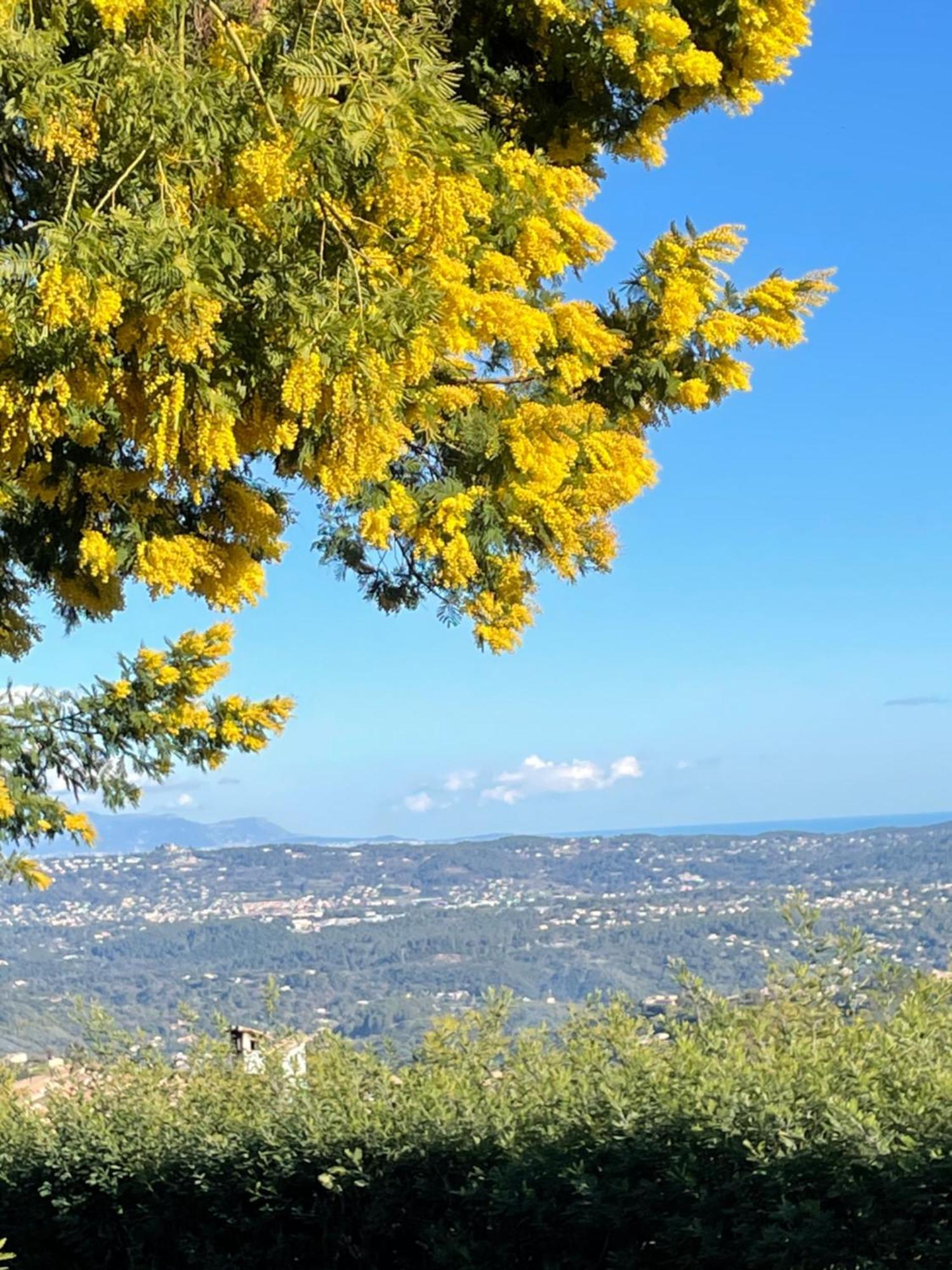 Au Pied Des Baous Bed & Breakfast Vence Bagian luar foto